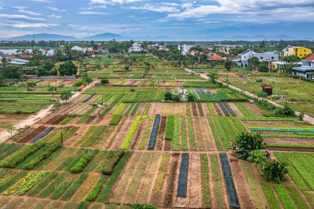 Ha My Beachside Villa Hoi An Ha Bang Екстер'єр фото